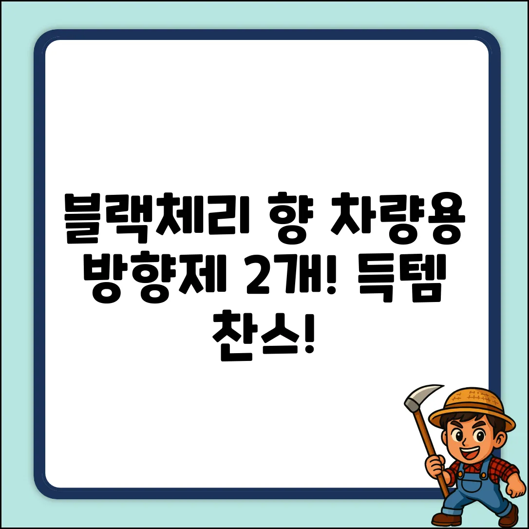 블랙체리 향! 디씨네트워크 대용량 차량용 방향제 2개 득템!