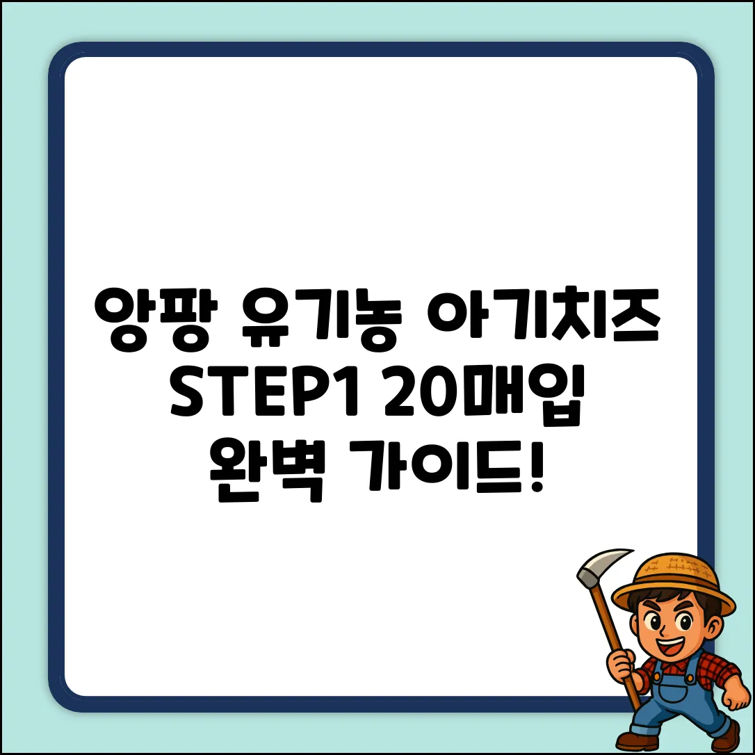 앙팡 유기농 아기치즈 STEP1: 완벽 가이드 (20매입