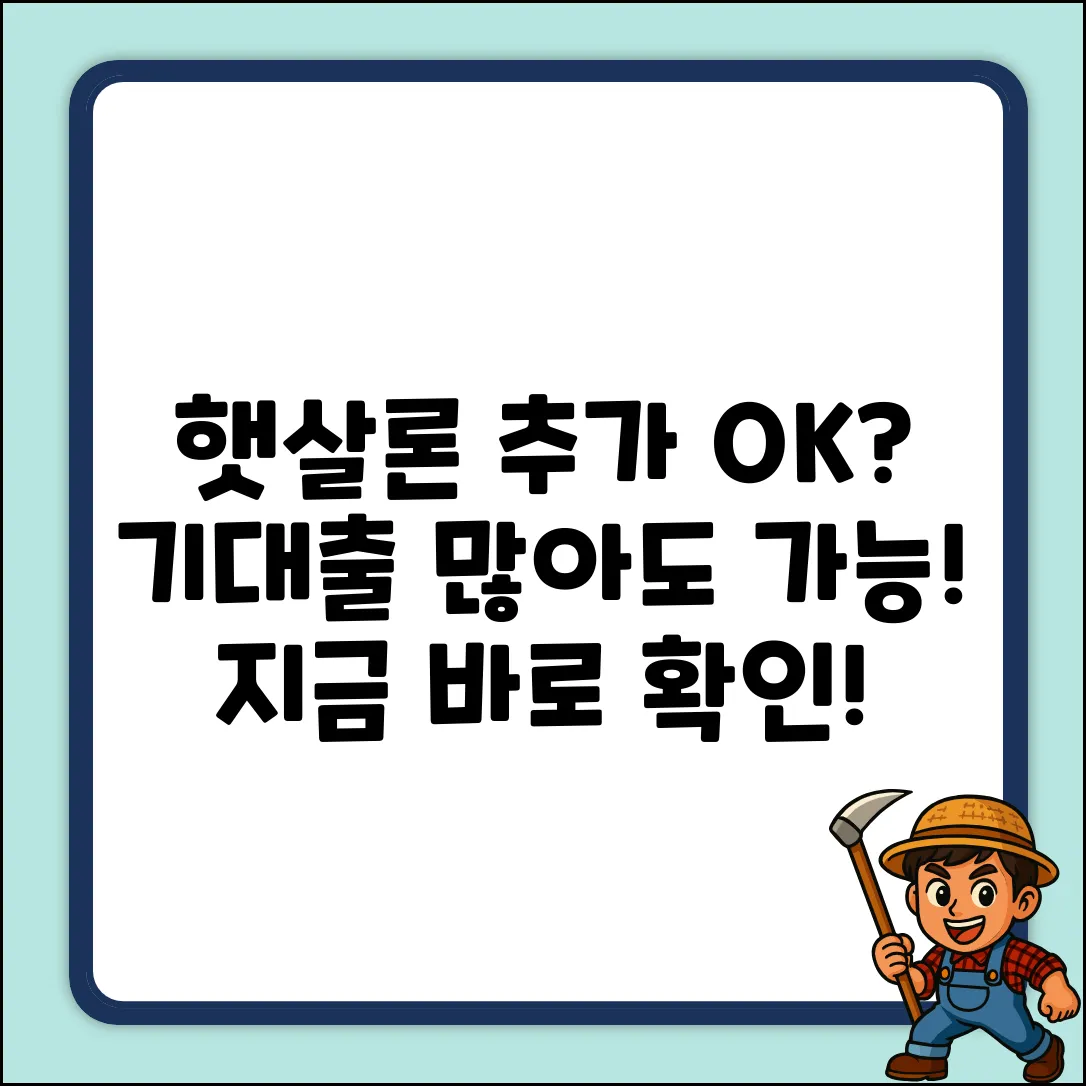 기대출 많아도 OK! 햇살론 추가 대출 가능?