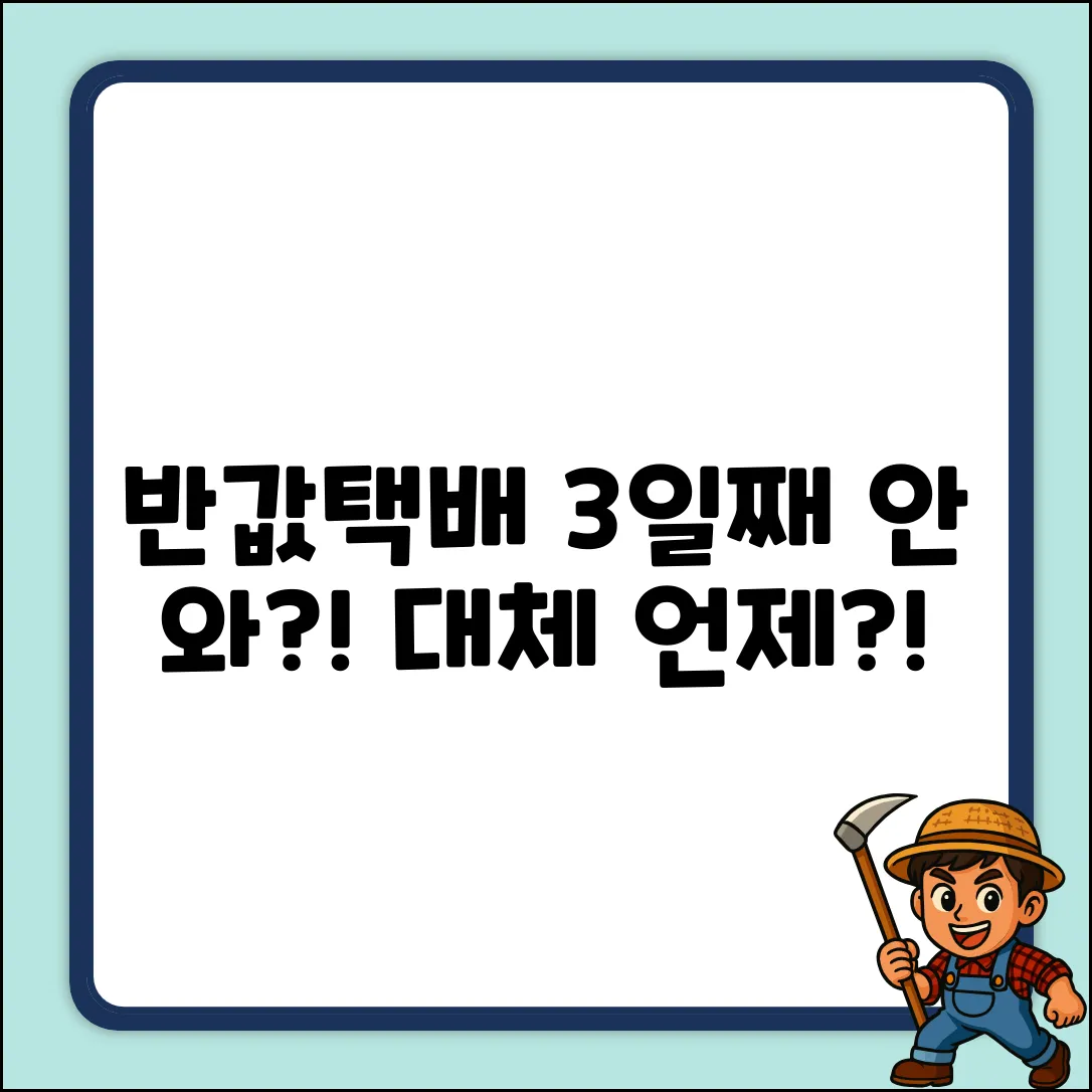 반값택배 언제 와? 3일째 감감무소식!