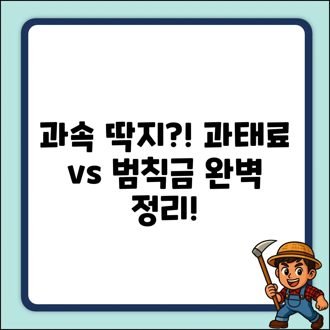 과속 과태료 vs 범칙금 완벽 가이드