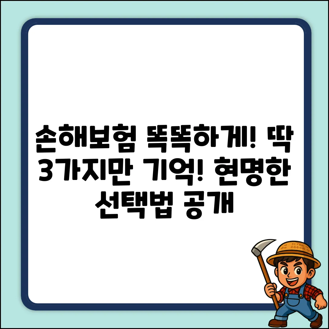 손보, 딱 3가지! 현명한 선택법