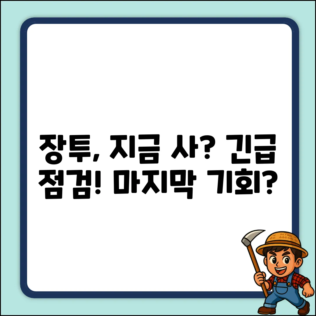 장기투자 종목, 지금 사도 괜찮을까?