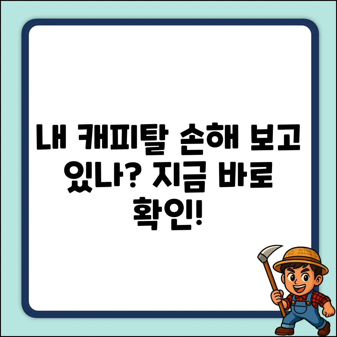 내 캐피탈 조회, 혹시 손해보고 있나요?